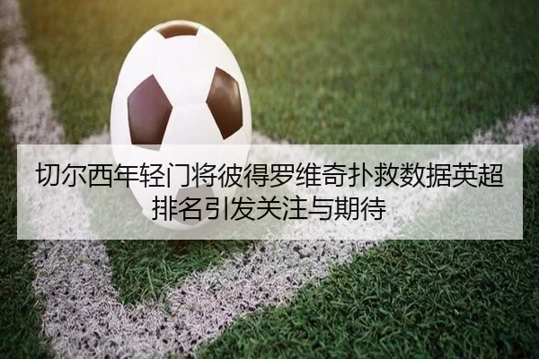 切尔西年轻门将彼得罗维奇扑救数据英超排名引发关注与期待