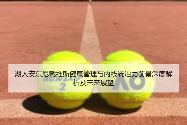 湖人安东尼戴维斯健康管理与内线统治力前景深度解析及未来展望